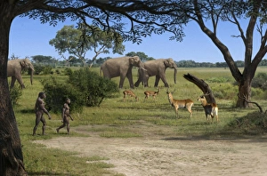 Australopithecus afarensis Landscape Print