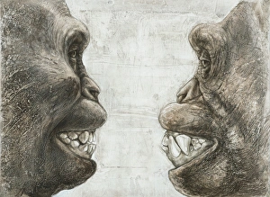 Images Dated 3rd November 2011: Australopithecus and Chimpanzee Teeth Print