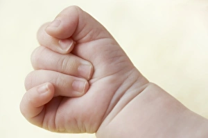 Child Model Photography Prints: Babys hand
