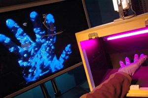 Prints of Bacterial contamination test. Ultraviolet (UV) light being used to reveal bacterial contamination. At right, a laboratory workers hand has been placed under a UV light source (pink) Images Dated 2008 November: UV Light Bacterial Contamination Test Print