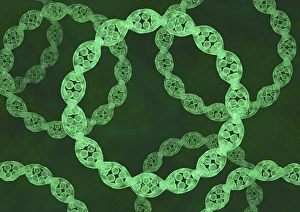 Deoxyribonucleic Acid (DNA) Prints: Bacterial DNA, artwork