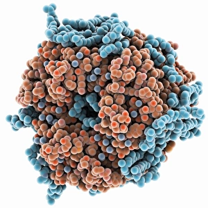 Images Dated 19th November 2012: Bacteriorhodopsin Protein Print