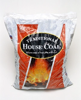 Carbon Dioxide Emissions Prints: Bag of coal