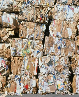 Bales of carboard and paper for recycling Bales of carboard and paper for recycling