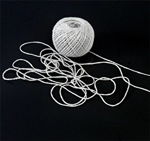 Images Dated 30th July 2012: Ball of string Print C013/9043