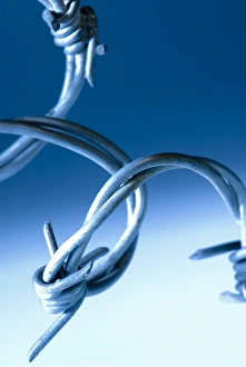 Prints of Barbed wire, computer image. Close-up of barbs on a section of barbed wire Images Dated 2008 December: Barbed wire print - Close-up of barbs