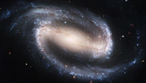 Barred spiral galaxy NGC 1300, HST image Barred spiral galaxy NGC 1300, HST image