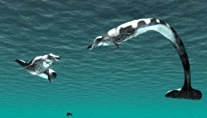 Prints of Basilosauruses, computer artwork. Basilosaurus was an early whale that inhabited the seas during the late Eocene period, 45-36 million years ago Images Dated 2006 September: Basilosaurus Print - Computer artwork of a whale