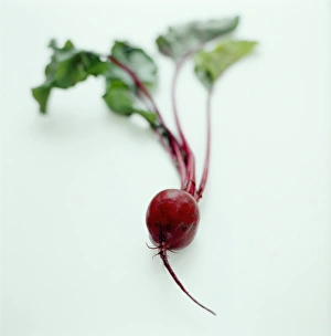 Beetroot Nutrition Prints: Beetroot