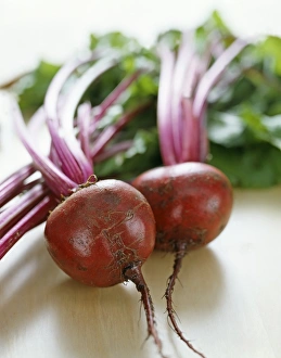 Beetroot Images Prints: Beetroots