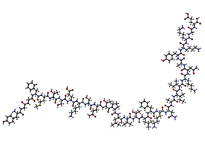 Images Dated 14th April 2011: Beta-endorphin Molecule Print