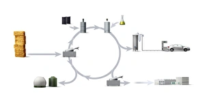 Biofuel production and use, diagram Biofuel production and use, diagram
