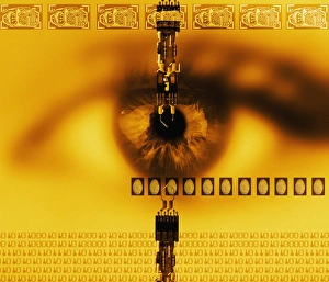 Biometric Identification Print