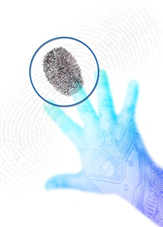 Printed Circuit Board Design Prints: Biometric security, artwork