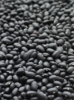 Legume Images Prints: Black turtle beans