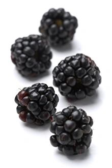 Blackberry Fruit Prints: Blackberries