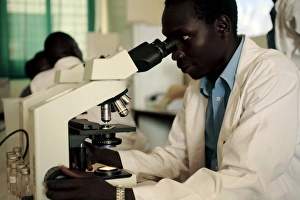 Images Dated 29th March 2007: Blood Analysis Print: Doctor Examining Blood Sample Under Microscope