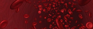Biconcave Red Blood Cells Prints: Blood, computer artwork