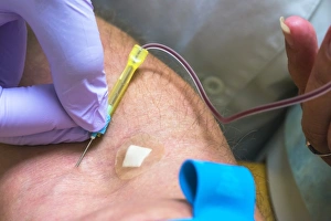 Blood Sampling Procedure Prints: Blood sampling C015 / 3465