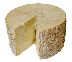 Blue Cheese Prints: Blue cheese
