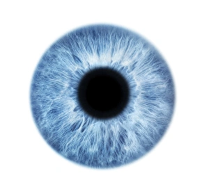 Prints of Blue eye. Close-up of the iris and pupil of an eye. The iris, a coloured muscular ring, regulates the amount of light that enters the eye through the pupil (black) Images Dated 2013 February: Blue Eye Print: Close-up of Iris and Pupil