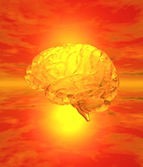 Brain Scan Print
