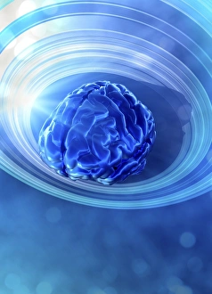 Human Brain Concept Prints: Brain abstract, conceptual artwork
