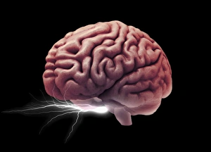 Magnetic Resonance Imaging (MRI) Prints: Brain activity, composite image C018 / 0652