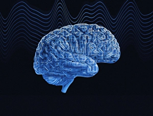 Side View Brain Print