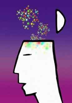 Human Brain Illustration Prints: Brain drug