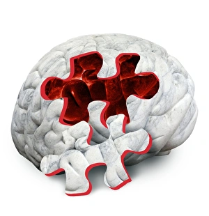 Conceptual Brain Image Prints: Brain function, conceptual