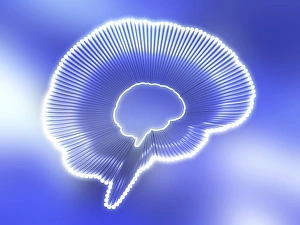 Human Nervous System Illustration Prints: Brain outline, artwork