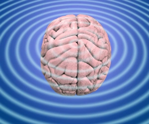 Brain Waves Print