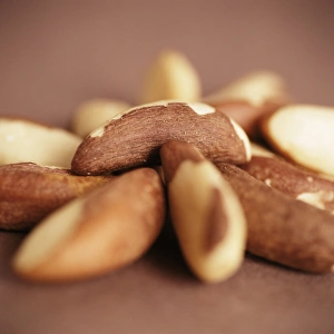 Bertholletia Excelsa Prints: Brazil nuts