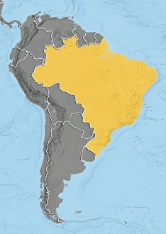South America Geography Prints: Brazil, relief map