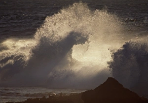 Hawaii Coastal Scenery Prints: Breaking wave