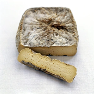 Brie Cheese Prints: Brie cheese
