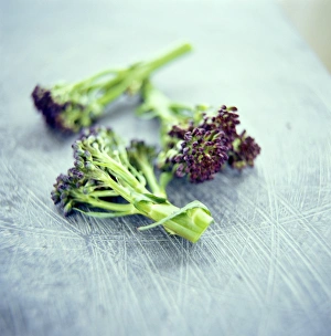 Fresh Produce Pictures Prints: Broccoli florets