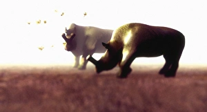 Prints of Brontotheres. Artists impression of two Brontotheres (Brontotherium sp.), extinct mammals that lived during the Eocene epoch, 58-30 million years ago Images Dated 2006 January: Print of Brontotheres: Large Herbivorous Mammals