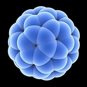 Buckminsterfullerene Structure Prints: Buckyball molecule C60, artwork