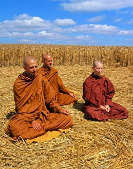 Buddhist monks meditating in a crop circle Buddhist monks meditating in a crop circle