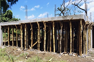 Sustainable Building Materials Prints: Building construction
