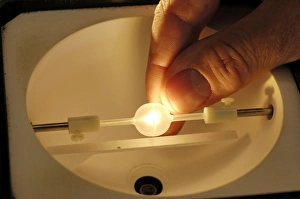 Prints of Bulb research. Prototype low heat light bulb being tested within a miniature Ulbricht, or integrating, sphere Images Dated 2006 January: Low Heat Light Bulb Prototype Print