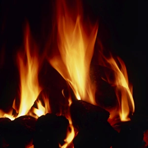 Images Dated 9th March 2004: Burning coal Print
