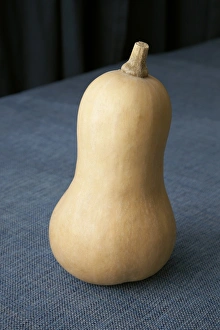 Kitchen Table Still Life Prints: Butternut squash