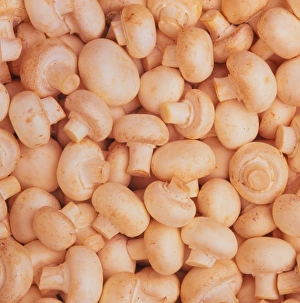 Button Mushrooms Prints: Button mushrooms