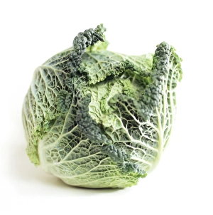 Fresh Green Vegetables Prints: Cabbage
