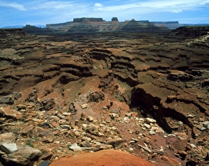 Colorado River Erosion Prints: Canyons