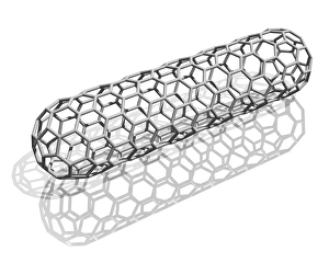 Carbon Allotrope Prints: Capped nanotube, computer artwork