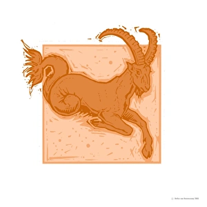 Prints of Capricorn. Artwork representing Capricorn the Sea Goat (22 December to 20 January), 10th of the 12 star signs Images Dated 2006 February: Capricorn Print: A depiction of the Sea Goat in a celestial setting